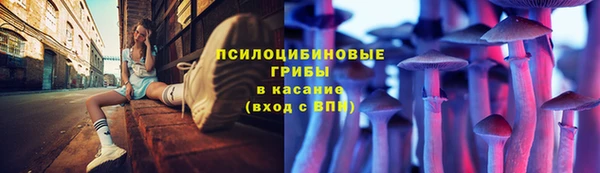 ПСИЛОЦИБИНОВЫЕ ГРИБЫ Алзамай