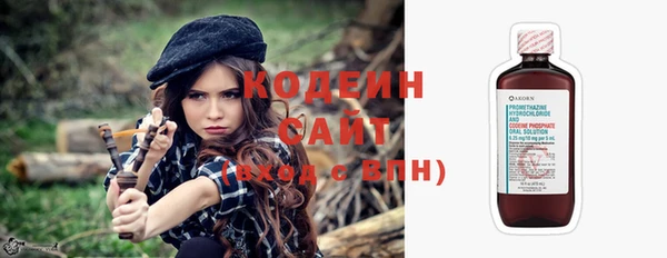 хмурый Абаза