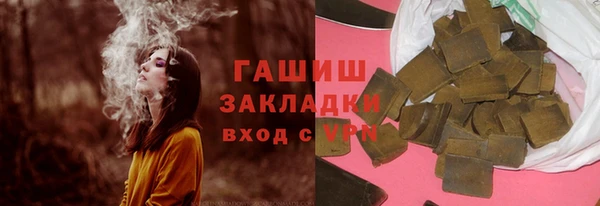 СК Алексин