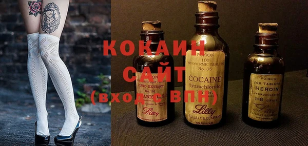 ПСИЛОЦИБИНОВЫЕ ГРИБЫ Алзамай