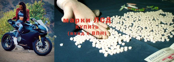 хмурый Абаза