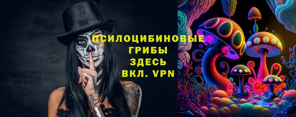 хмурый Абаза