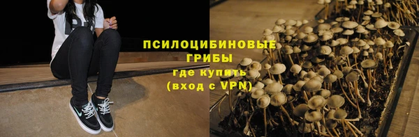 хмурый Абаза